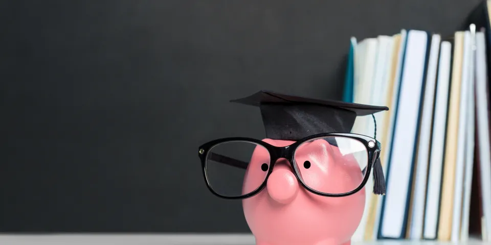 College graduate student diploma piggy bank