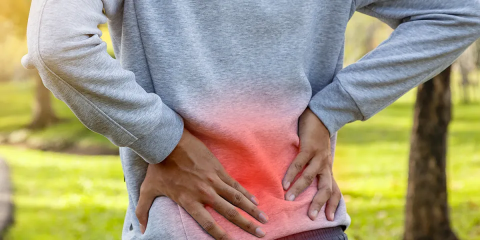 Physical Therapy for Low Back Pain: Pain Relief - PTandMe